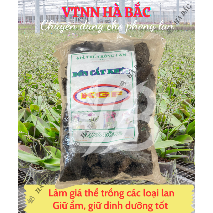Giá Thể Trồng Lan - Dớn Cắt Khúc KGF hiệu NewZita - Giữ Ẩm Tốt, Thoát Nước Nhanh, Nhẹ Giàn, Thoáng Bộ Rễ