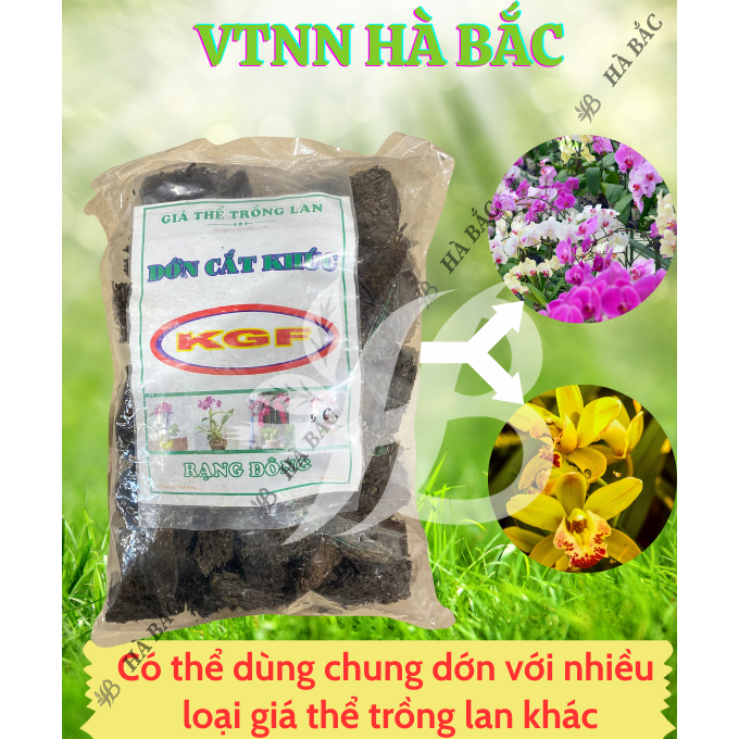 Giá Thể Trồng Lan - Dớn Cắt Khúc KGF hiệu NewZita - Giữ Ẩm Tốt, Thoát Nước Nhanh, Nhẹ Giàn, Thoáng Bộ Rễ