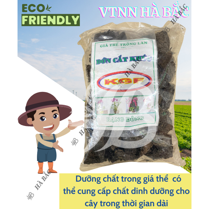 Giá Thể Trồng Lan - Dớn Cắt Khúc KGF hiệu NewZita - Giữ Ẩm Tốt, Thoát Nước Nhanh, Nhẹ Giàn, Thoáng Bộ Rễ