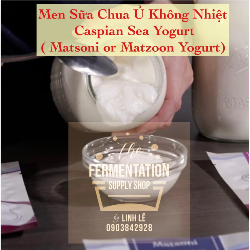 [ĐỘC QUYỀN BẢN GỐC tại VN]Men sữa chua Caspian Sea Yogurt starter