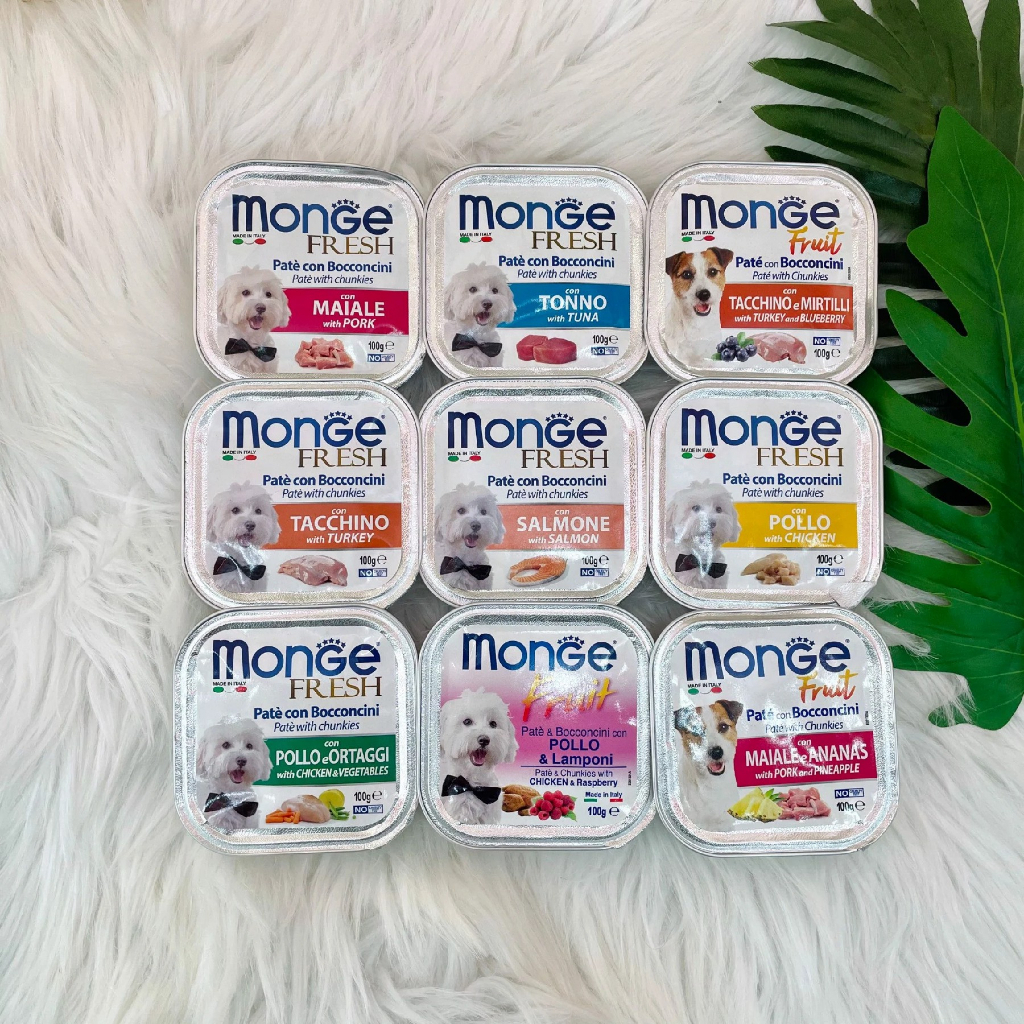 HÀNG MỚI VỀ - Pate Thức Ăn Ướt MONGE Nhiều Hương Vị Thơm Ngon Cho Chó 100g