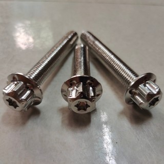 [TẶNG KÈM LÔNG ĐỀN] Combo ốc treo pô salaya cho mọi loại xe - DIAMOND SALAYA