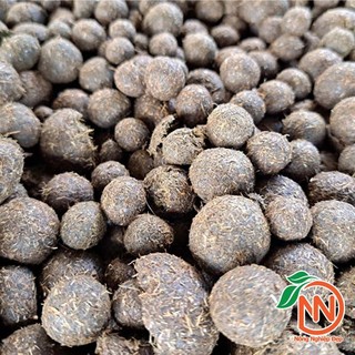 Phân Bò GREENMA Gói 2kg | Phân Bón Hữu Cơ Viên Nén