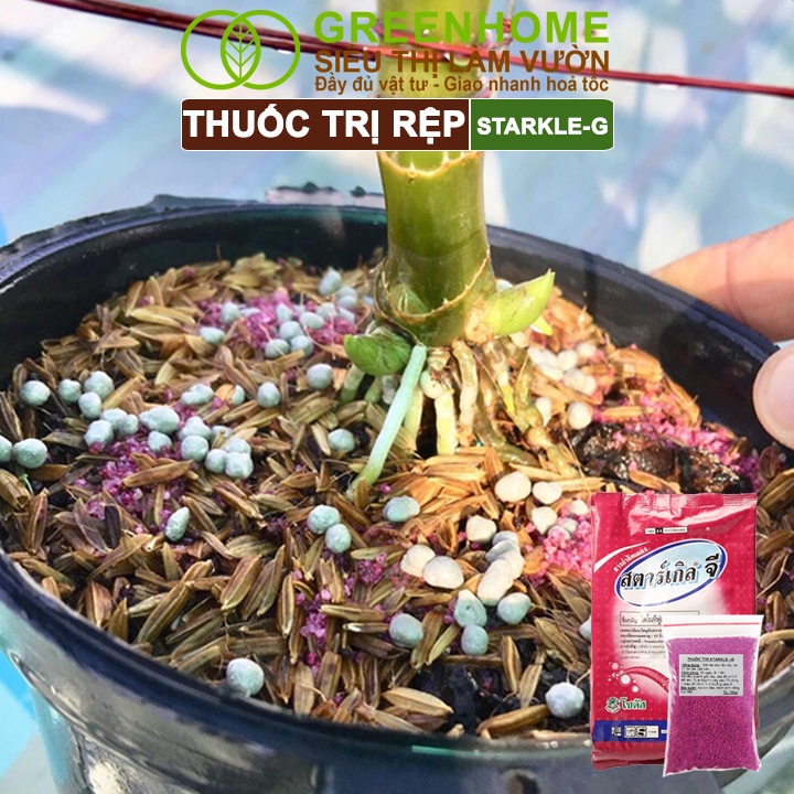 Ảnh Thuốc Tím Trị Rệp Greenhome, Starkle-G, Bao 50gr, Lưu Dẫn, An Toàn, Hiệu Quả, Dùng Cho Sen Đá 4