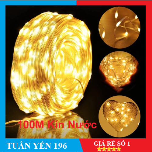 Dây đèn led ruồi 100m 800 bóng leds chống nước trang trí ngoài ngoài ...