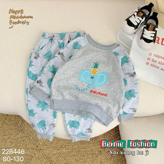 Bộ nỉ lót lông cho bé trai 1-6 tuổi (9-24kg) N049