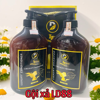dầu gội xả