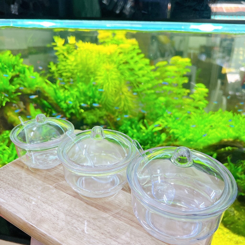 Hũ đựng gia vị -Hủ đựng chanh ớt - Xa tế  NHƯ THA CO có muỗng nhựa Acrylic Cao cấp - có hàng quán