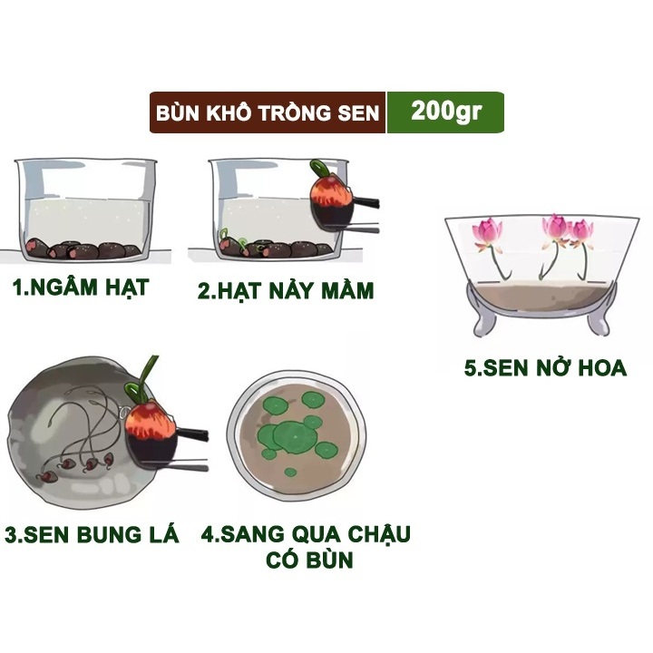 Bùn Khô Trồng Hoa Sen Súng, Gói 200gr, Phù Hợp Cây Thuỷ Sinh