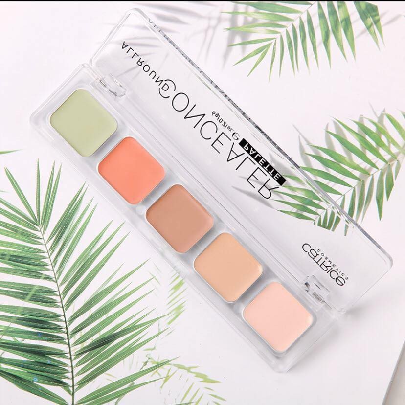 Che khuyết điểm Catrice Allround Concealer 5 ô (Bảng)