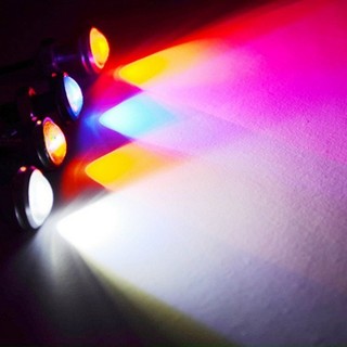 Đèn chớp mắt mèo 2 chế độ. Chớp bi cúc áo trang trí ô tô, xe máy điện 24v
