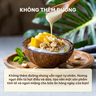Bơ Hạt Điều Dừa Ms. Hoi An - Không Đường - Giàu Protein Eat Clean Gym