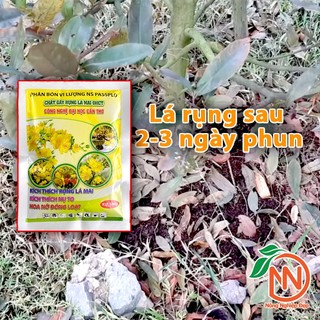 Chất Gây Rụng Lá Mai Đại Học Cần Thơ Gói 180g - Xịt Rụng Lá Mai không Ảnh Hưởng Đến Bông