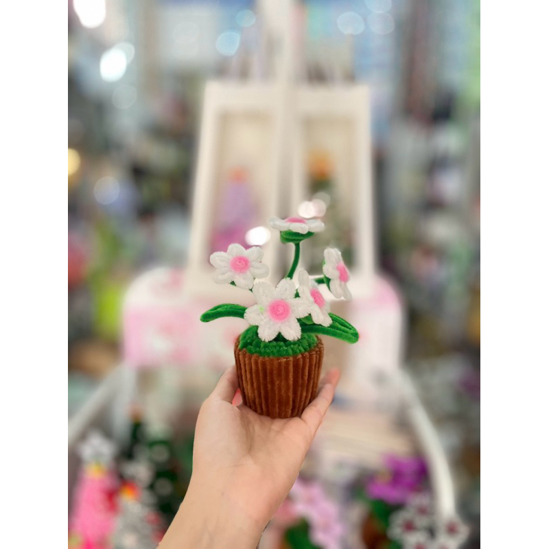 Chậu Hoa Cúc Họa Mi Mini Bằng Kẽm Nhung | Shopee Việt Nam