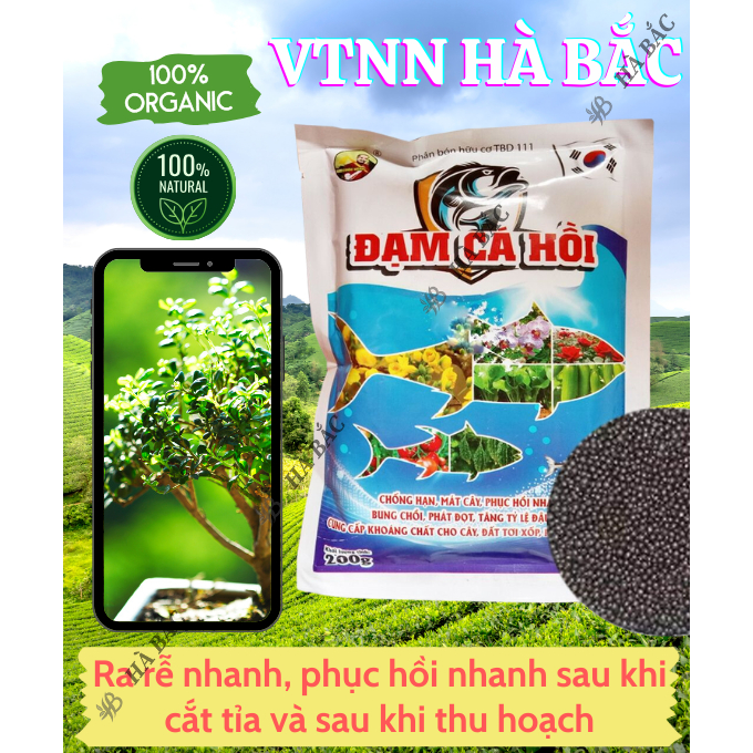 Phân Bón Đạm Cá Hồi Hiệu Cuốc Vàng (Túi 1KG) - Chống hạn, Bung chồi, Phát đọt, Đậu trái - Phân Bón Dành Cho Cây Trồng