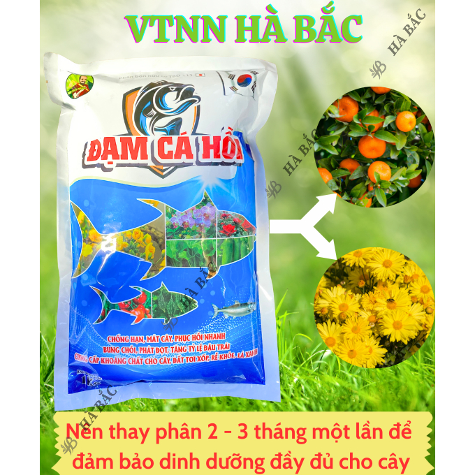 Phân Bón Đạm Cá Hồi Hiệu Cuốc Vàng (Túi 1KG) - Chống hạn, Bung chồi, Phát đọt, Đậu trái - Phân Bón Dành Cho Cây Trồng