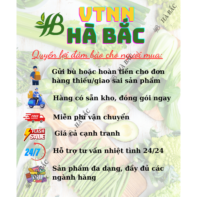 Giá Thể Kiểng Lá, Sen Đá, Xương Rồng, Ươm Tách Cây Con 5dm3 Newzita Soil New Mix - Hỗn hợp hữu cơ, trung hòa pH