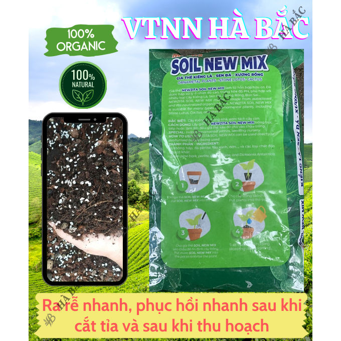 Giá Thể Kiểng Lá, Sen Đá, Xương Rồng, Ươm Tách Cây Con 5dm3 Newzita Soil New Mix - Hỗn hợp hữu cơ, trung hòa pH