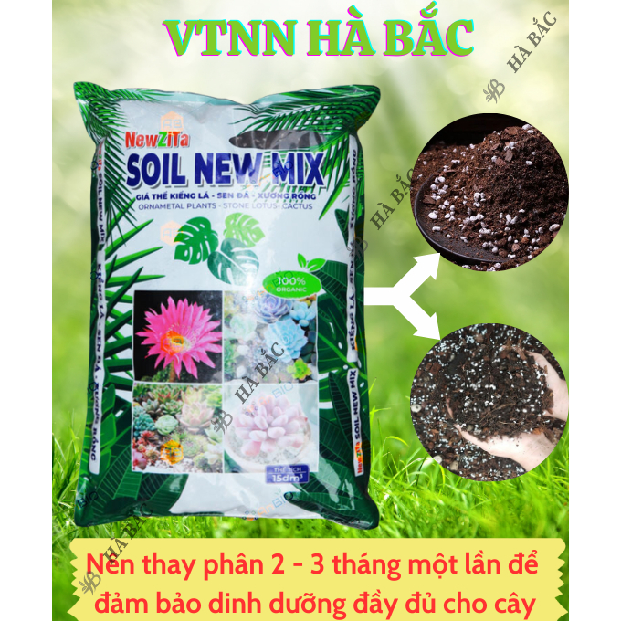 Giá Thể Kiểng Lá, Sen Đá, Xương Rồng, Ươm Tách Cây Con 5dm3 Newzita Soil New Mix - Hỗn hợp hữu cơ, trung hòa pH