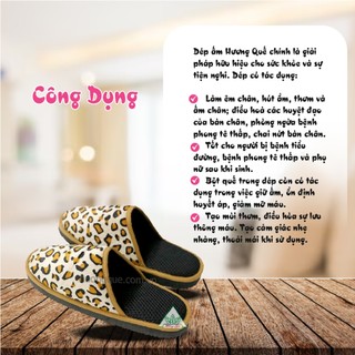 Dép Đi Trong Nhà Mùa Đông Hương Quế DH-14