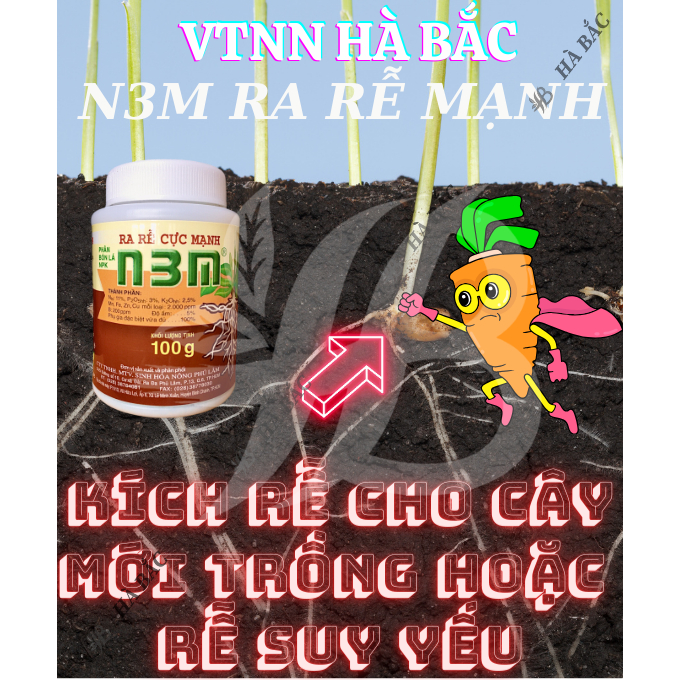 Phân Bón Lá Kích Ra Rễ Cực Mạnh N3M Nông Phú Lâm (100/500gr) - Chuyên Giâm Cành, Chiết Cành, Kích Thích Phát Triển Rễ,..
