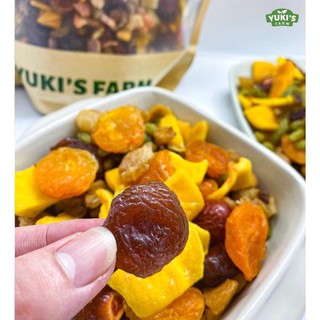 Trái cây sấy dẻo không đường, hộp 500G hoa quả sấy khô ăn kiêng giảm cân -HQS