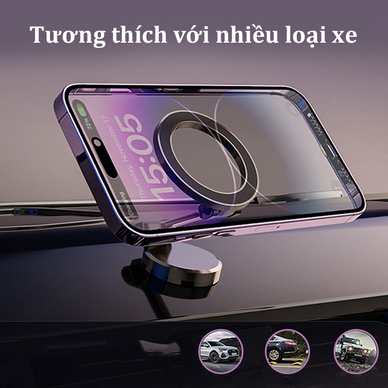 Ảnh 7