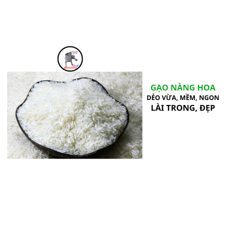 Gạo Nàng Hoa - Dẻo vừa mềm cơm - Lài trong, gạo đẹp - 5kg