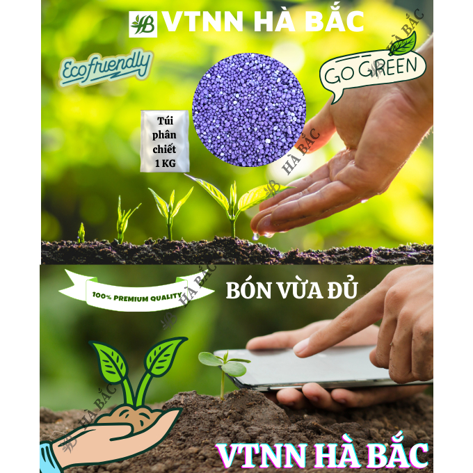 Phân Bón NPK Tím 16-12-8-11S+TE Hiệu Đầu Bò Túi 1KG (bán lẻ) - Kháng Bệnh, Phục Hồi Tăng Trưởng, Giúp Cây Tăng Trưởng