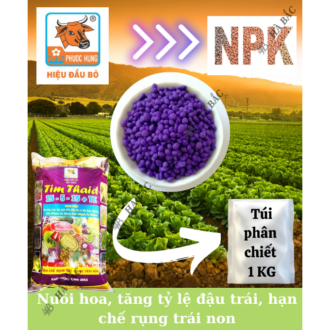 Phân Bón NPK Tím 16-12-8-11S+TE Hiệu Đầu Bò Túi 1KG (bán lẻ) - Kháng Bệnh, Phục Hồi Tăng Trưởng, Giúp Cây Tăng Trưởng