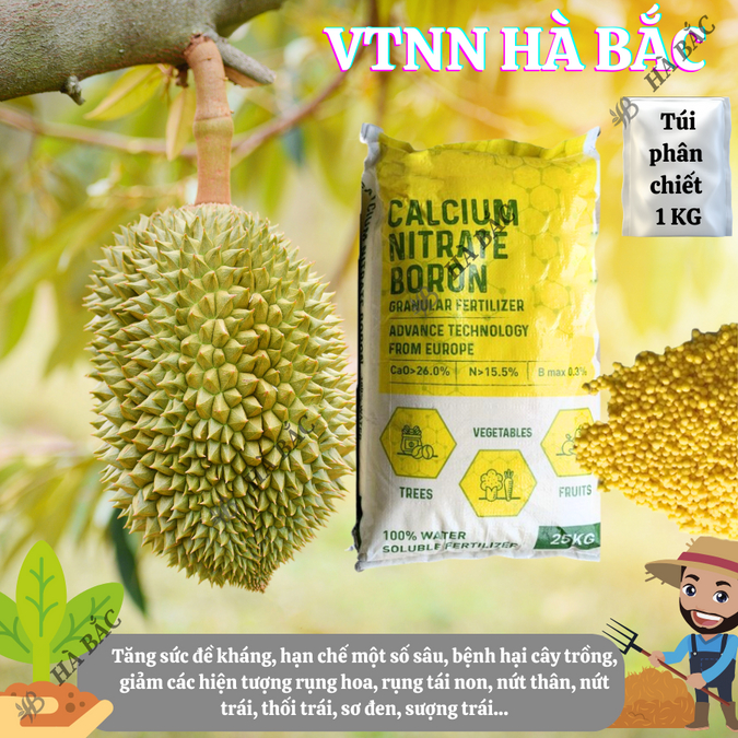 Phân Canxi Bo Nitrat Nauy Túi 1kg (bán lẻ) - Giúp Lớn Củ, Phì Trái, Kháng Bệnh, Chống Sượng Trái - Phân Bón Dành Cho Cây
