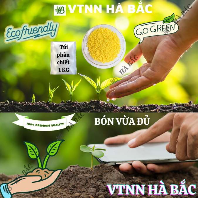 Phân Canxi Bo Nitrat Nauy Túi 1kg (bán lẻ) - Giúp Lớn Củ, Phì Trái, Kháng Bệnh, Chống Sượng Trái - Phân Bón Dành Cho Cây