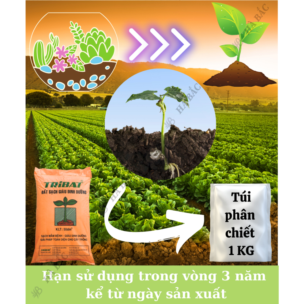 Đất Sạch Tribat 20dm3 Túi 1KG (bán lẻ) - Đất Sạch Giàu Dinh Dưỡng, Sạch Mầm Bệnh