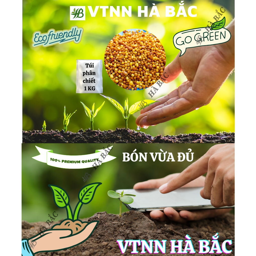 Phân Bón Đầu Trâu NPK 20-20-15+TE Túi 500GR/1KG (Bán Lẻ) - Giúp Tăng Trưởng Mạnh, Chồi Lá Khỏe, Ra Hoa Nhiều, Sai Quả