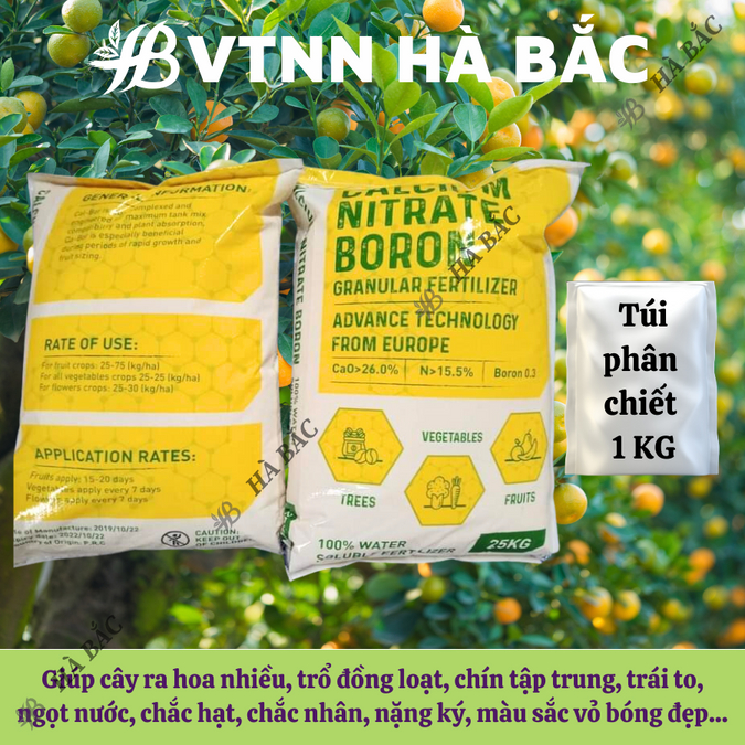Phân Canxi Bo Nitrat Nauy Túi 1kg (bán lẻ) - Giúp Lớn Củ, Phì Trái, Kháng Bệnh, Chống Sượng Trái - Phân Bón Dành Cho Cây