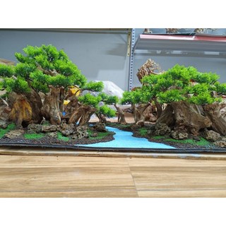 Layout Rừng Rậm dành cho bể cá cảnh, bể thủy sinh kích thước 60 cm trở lên