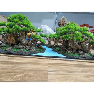 Layout Rừng Rậm dành cho bể cá cảnh, bể thủy sinh kích thước 60 cm trở lên