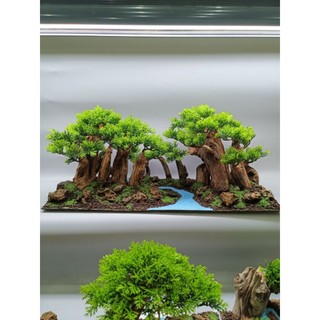 Layout Rừng Rậm dành cho bể cá cảnh, bể thủy sinh kích thước 60 cm trở lên