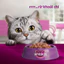 gói Pate mèo Whiskas Thức ăn cho mèo dạng xốt gói 80g cho mèo con và trưởng thành