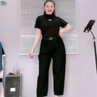 Áo thun babytee tay ngắn nữ bigsize cổ lọ dáng ôm vừa màu basic thời trang dễ phối sang chảnh cho chuppy G234