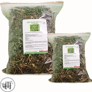 Cây Đuôi Chuột Khô (1KG) Cam kết hàng sạch đẹp