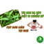 Cây Rau Mương Khô [1KG] Hàng sạch đẹp loại 1