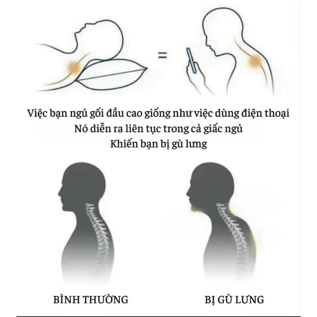 Gối Công Thái Học Ruột Bông Gòn Kháng Khuẩn An Như Bedding