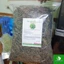 Bông mã đề khô [1kg] - Tác dụng tốt cho người bị thận và đường tiết niệu