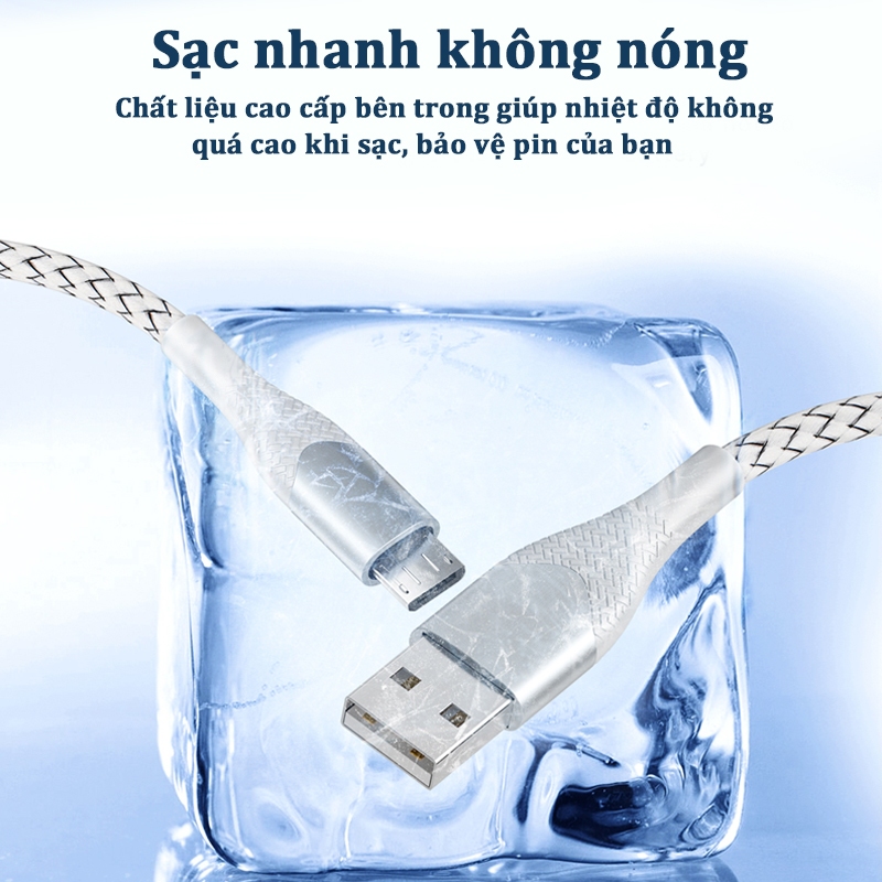 Ảnh 4