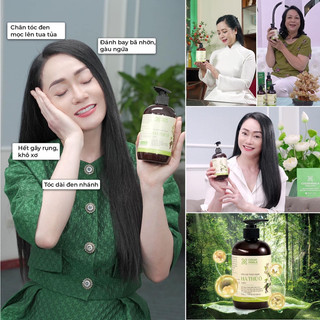 Dầu Gội Hà Thủ Ô 2in1 Cỏ Cây Hoa Lá ,Giúp Kích Thích Sắc Tố Mầm Tóc 300ml