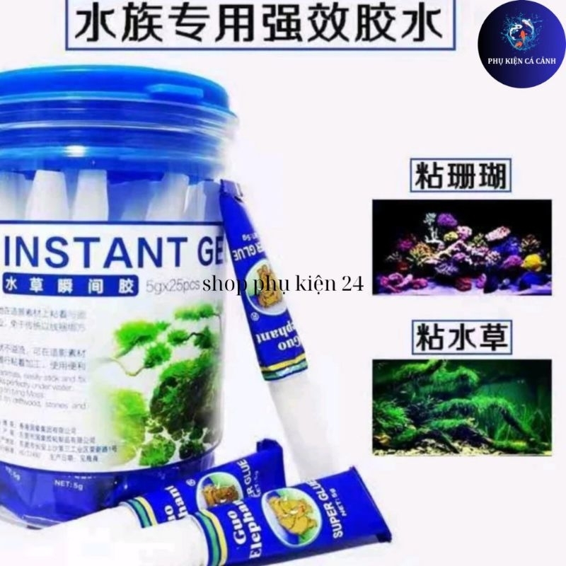 keo dán rêu san hô nhanh cho bể cá thủy sinh hiệu con voi | Shopee Việt Nam