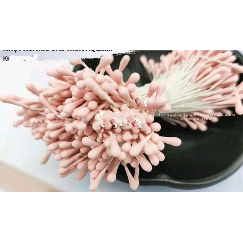 Bó 100 Nhụy ( Nhị) Hoa Bột 2 Đầu Cao Cấp Dùng Làm Hoa Kẽm Nhung, Handmade, Decor, Triền hoa