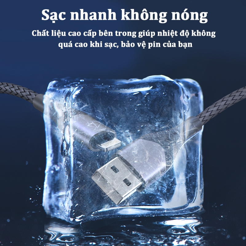 Ảnh 4
