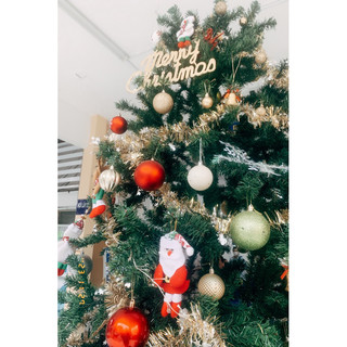 DECOR hoả tốc - Dây chồn xanh - Dây thông trang trí Giáng Sinh 🎄⛄️ Noel